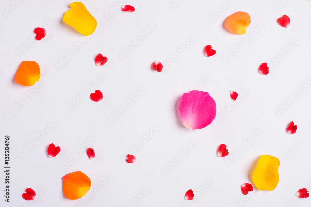 Bunch of roses on white background.