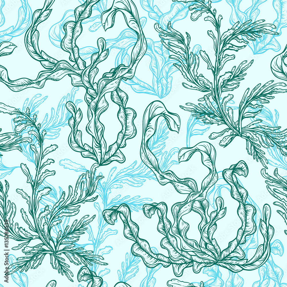 Naklejka premium Collection of marine plants, leaves and seaweed. Vintage seamless pattern with hand drawn marine flora. Vector illustration in line art style.