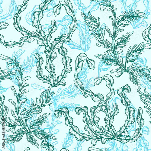Collection of marine plants, leaves and seaweed. Vintage seamless pattern with hand drawn marine flora. Vector illustration in line art style.