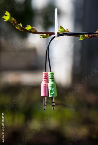 Computer details in the garden in spring. Symbolic arrival of the new life.