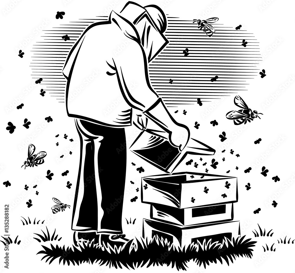 Beekeeper takes care of his hive, surrounded by worker bees