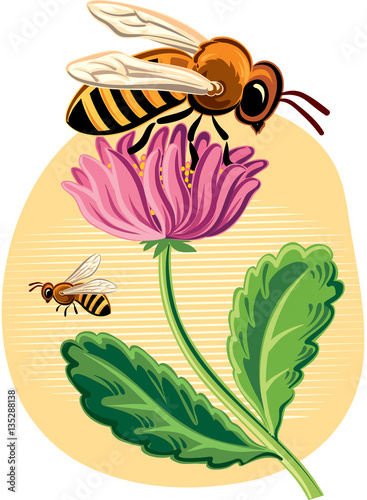 worker bee collecting pollen from a flower.