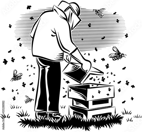 Obraz na płótnie Beekeeper takes care of his hive, surrounded by worker bees w salonie