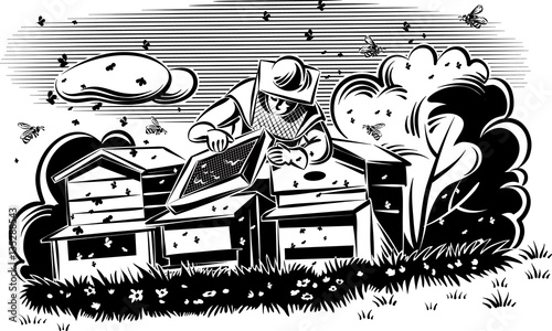 Beekeeper takes care of his hive, surrounded by worker bees.