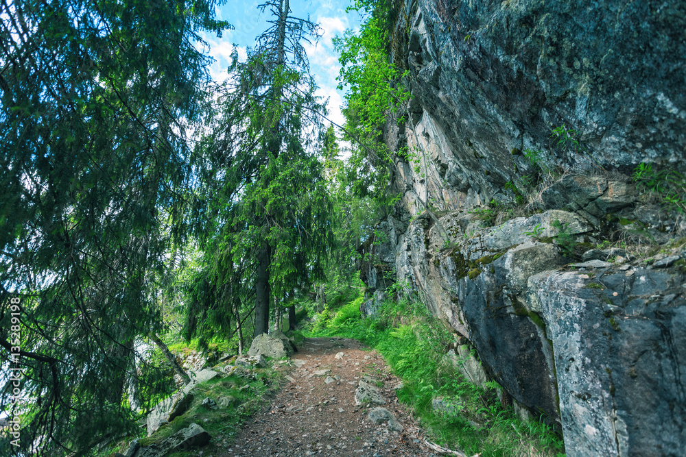 Mountain landscape with trail and green meadow Mountain landscape with trail and green meadow