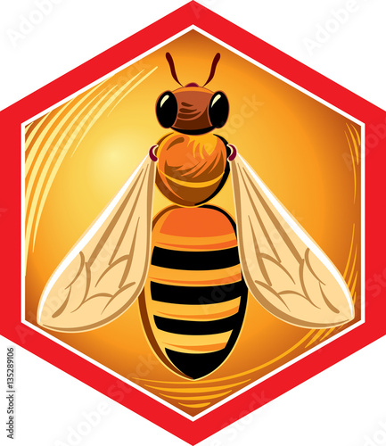 Hexagon frame with inside bee.
