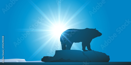 Ours Blanc - Réchauffement climatique - Banquise