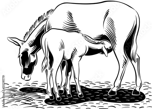 A donkey with her little puppy, in a stable.