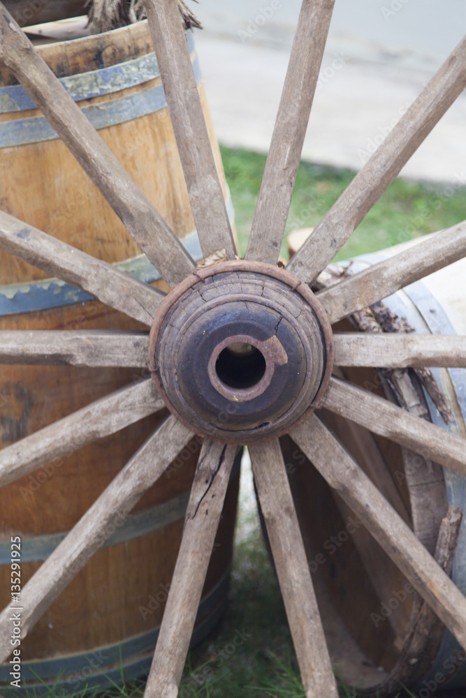 Cart wheel