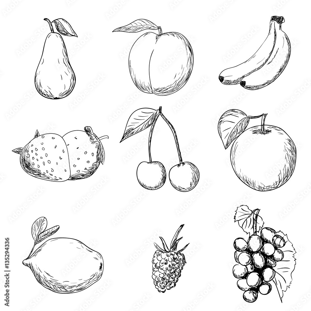 Various Fruits Childish Hand Drawn Style Illustration Of Kids Drawing Fruits  Concept Stock Illustration - Download Image Now - iStock