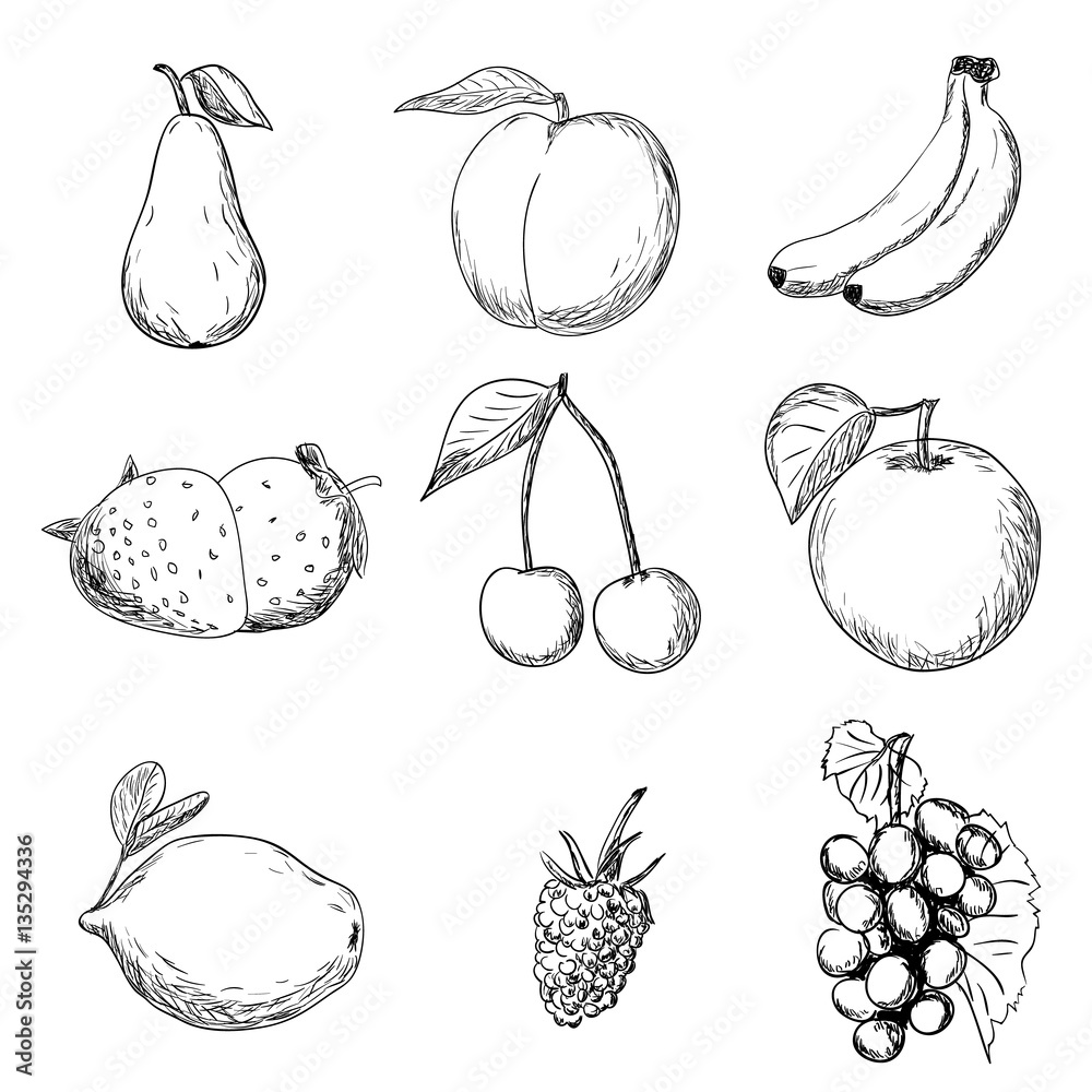 Fruit Drawings