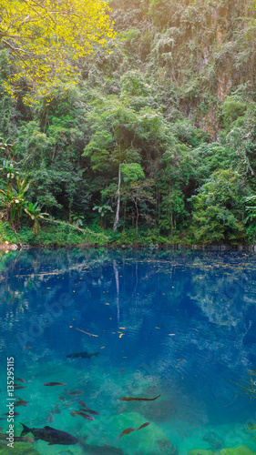 Fototapeta Naklejka Na Ścianę i Meble -  Lom Phu Kiew is an emerald pool at Lampang province.