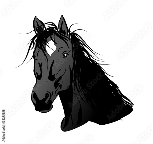 black horse head
