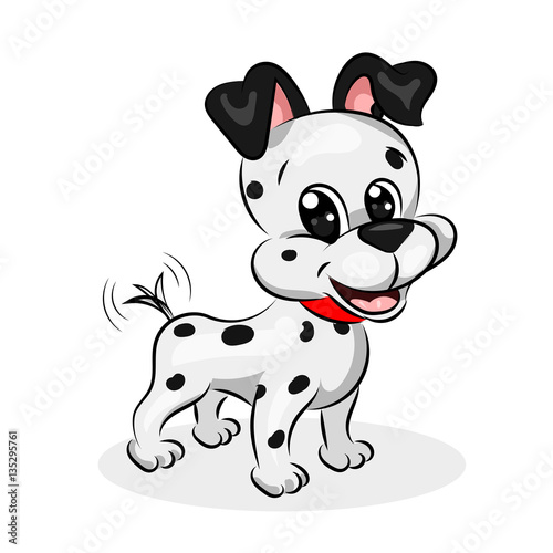 Fototapeta Naklejka Na Ścianę i Meble -  dalmatian cute dog at the white background