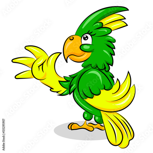 bright colorful cute parrot at the white background