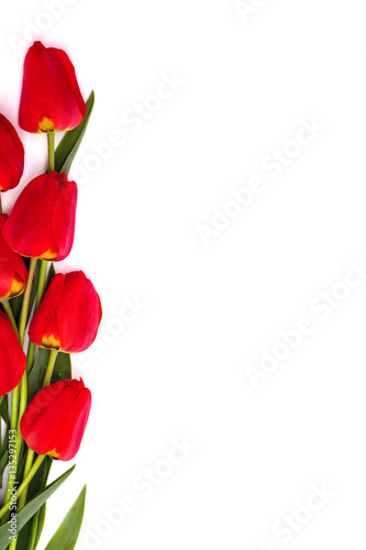 Bouquet of red tulips on white background with space for text. Top view. Flat lay.