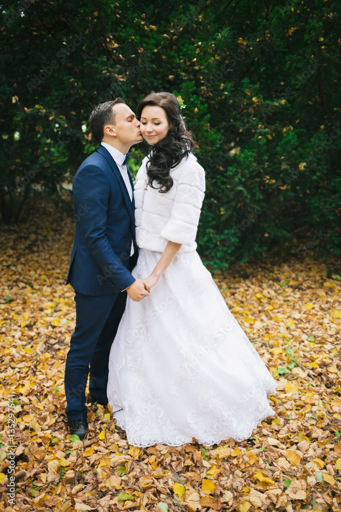 Wedding photo shoot. Beautiful groom and bride in nature. Wedding photo shoot. Beautiful groom and bride in nature.