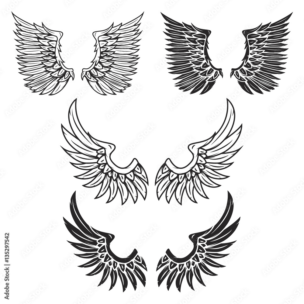 Obraz premium Vintage wings isolated on white background.