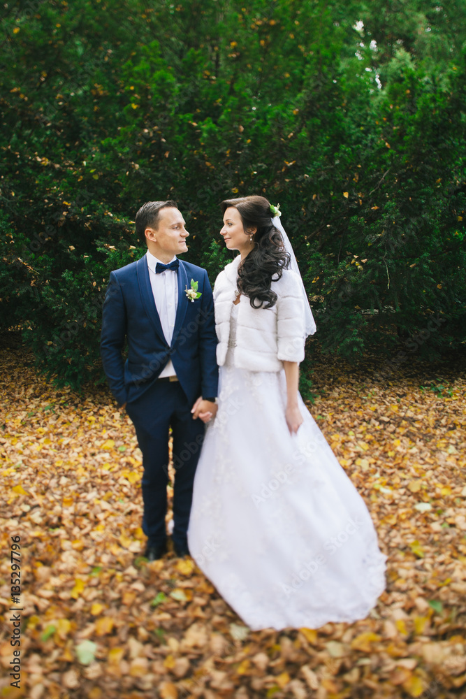 Wedding photo shoot. Beautiful groom and bride in nature.