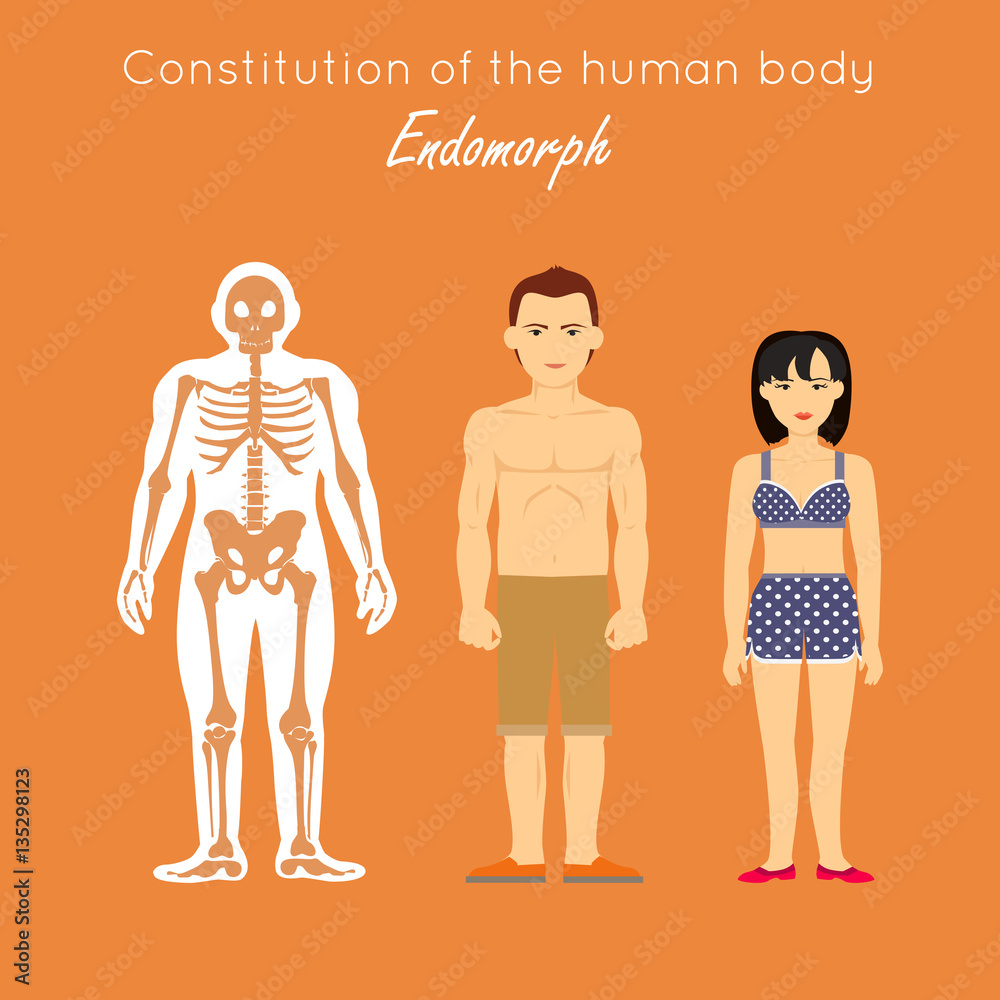 Constitution of Human Body. Endomorph. Endomorphic Constitution of Human Body. Endomorph. Endomorphic