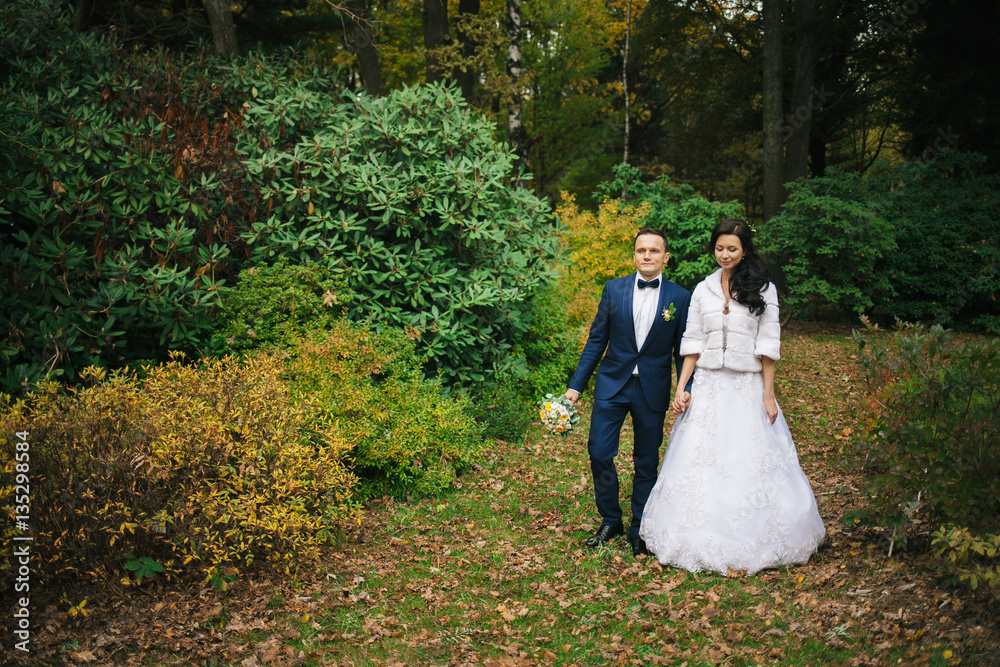 Wedding photo shoot. Beautiful groom and bride in nature. Wedding photo shoot. Beautiful groom and bride in nature.
