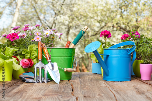 Outdoor gardening tools on old wood table © ZoomTeam