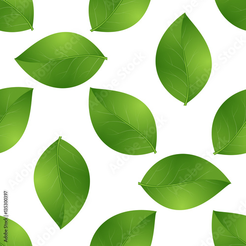 leaves seamless isolated