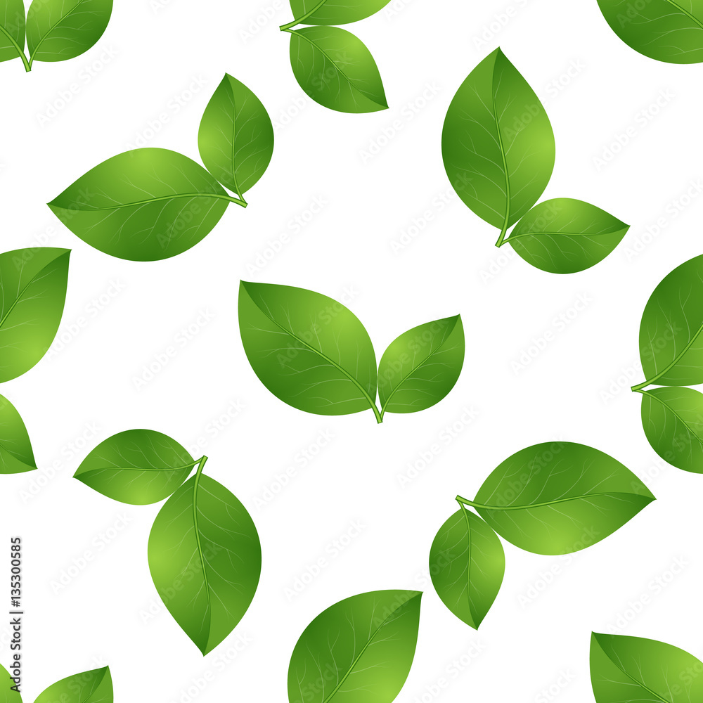 leaves seamless isolated