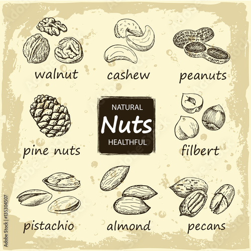 set of sketches of nuts
