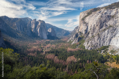 View of the valley of Yosemite National Park, USA