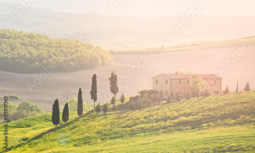 Tuscany  springtime landscape