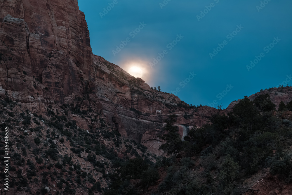 Sunrise at the Zion National Park, USA