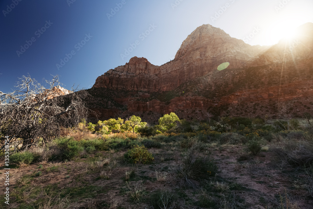 Rocks of the Zion National Park, USA