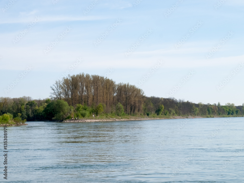 Fototapeta premium river Rhine