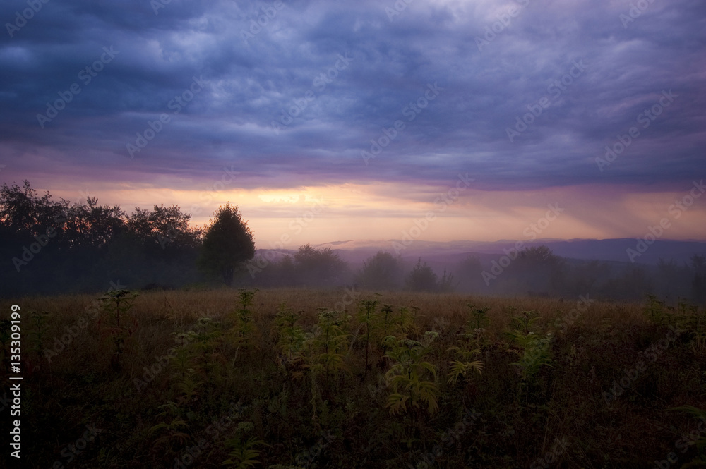 Twilight landscape. Morning scenery in nature with dramatic sky and mist on rainy weather