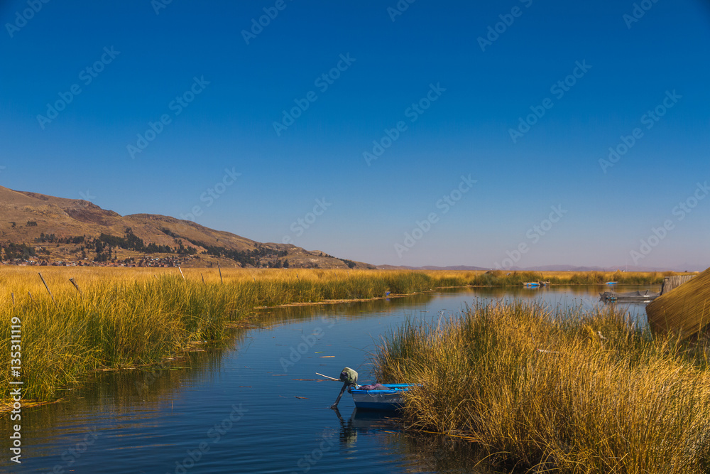 Peru, Titicaca lake, Uros Islands territory. Motor boat is showing up from the growing cane. Peru, Titicaca lake, Uros Islands territory. Motor boat is showing up from the growing cane.