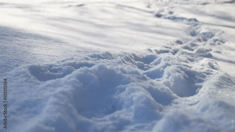 human nature footprints in the snow winter landscape path a lot of snow human nature footprints in the snow winter landscape path a lot of snow