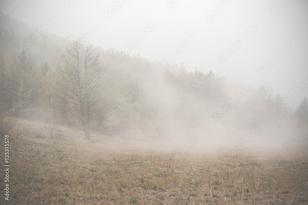 Atmospheric landscape of the Olkhon island under the fog in summer 2015. Lake Baikal, Russian Siberia