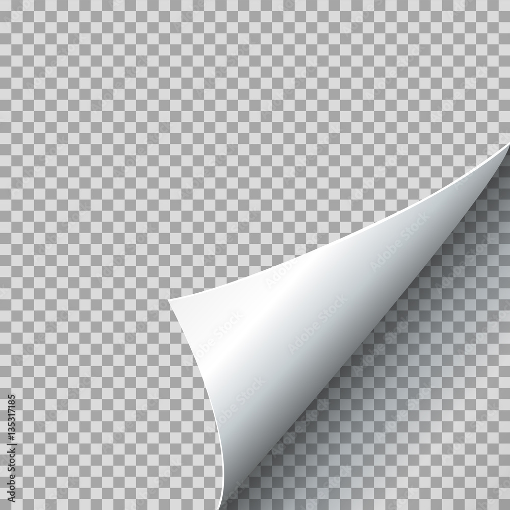Paper curl vector illustration. Curled page corner with shadow on transparent background