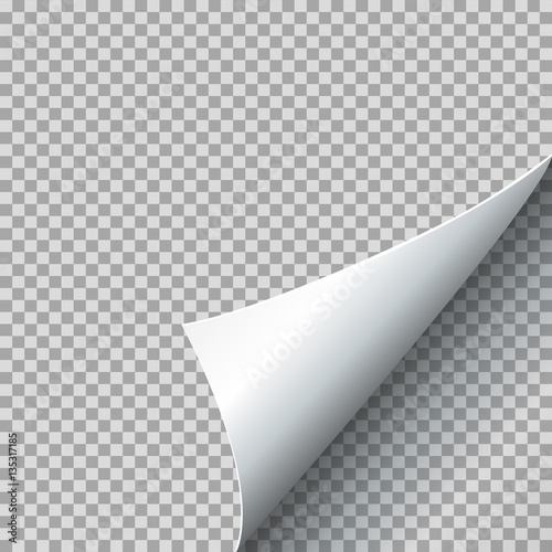 Paper curl vector illustration. Curled page corner with shadow on transparent background