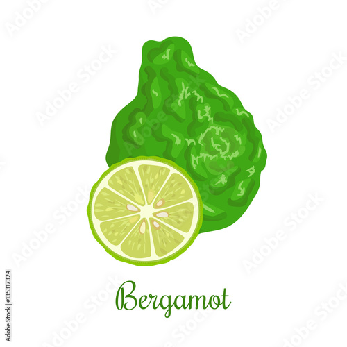 Fresh bergamot or Citrus bergamia. Whole and half.