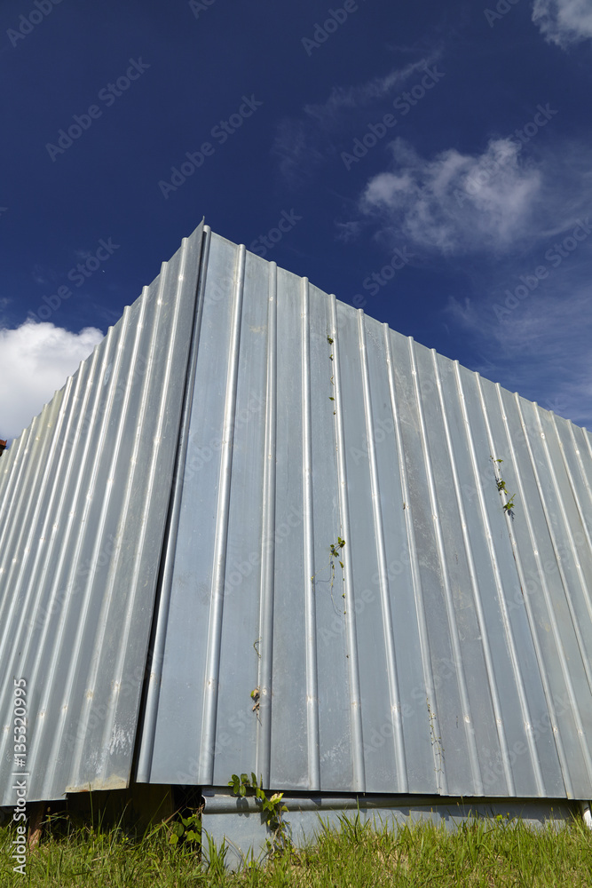 Fototapeta premium 壁面の植物