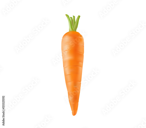 fresh carrot on white background