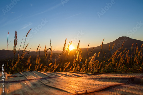 Close up flower grass and sunrise background in the morning on t