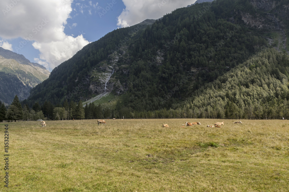 Im Seebachtal, Hohe Tauern