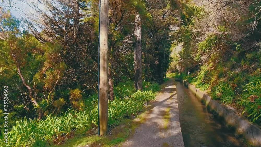Hiking Pathway on the Levada Waterway Hiking Pathway on the Levada Waterway