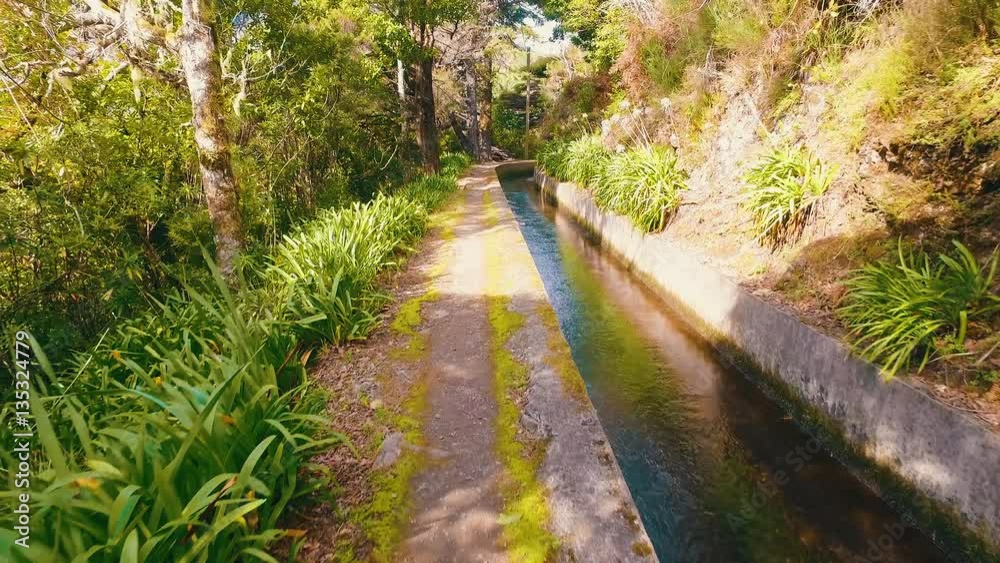 Hiking Pathway on the Levada Waterway Hiking Pathway on the Levada Waterway