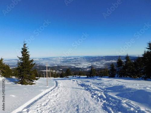 Road covered with snow in Karkonoski National Park