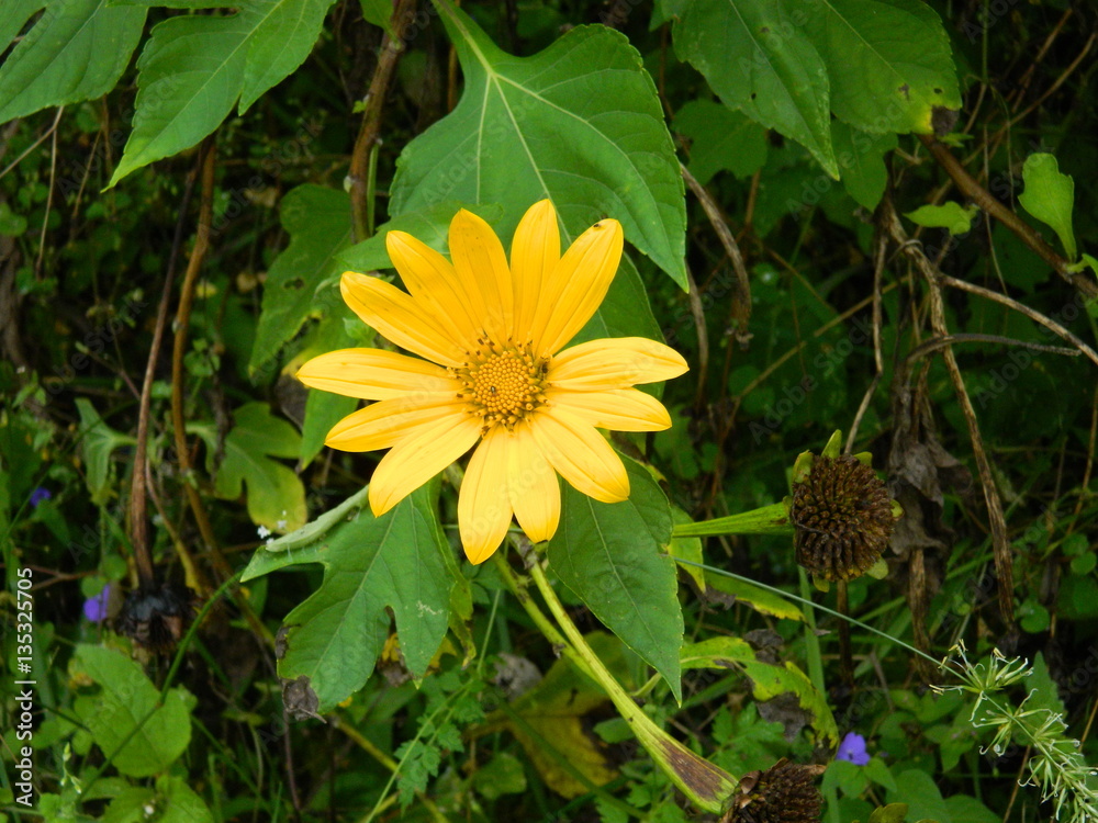 naturaleza naturaleza