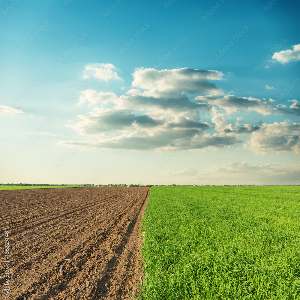 two agricultural fields and sunset in clouds over it two agricultural fields and sunset in clouds over it